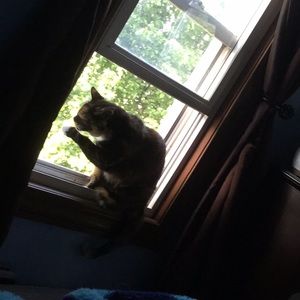 Meet your Posher, Andrea